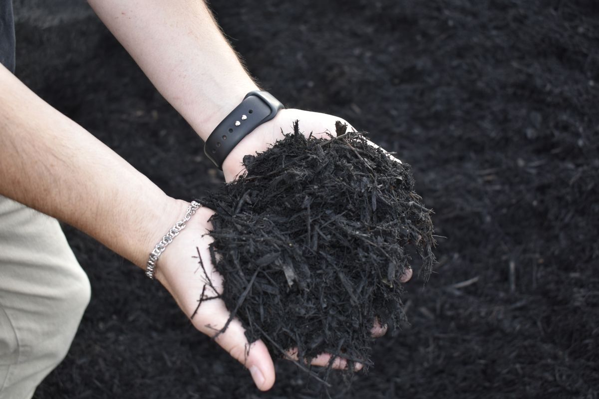 Black mulch